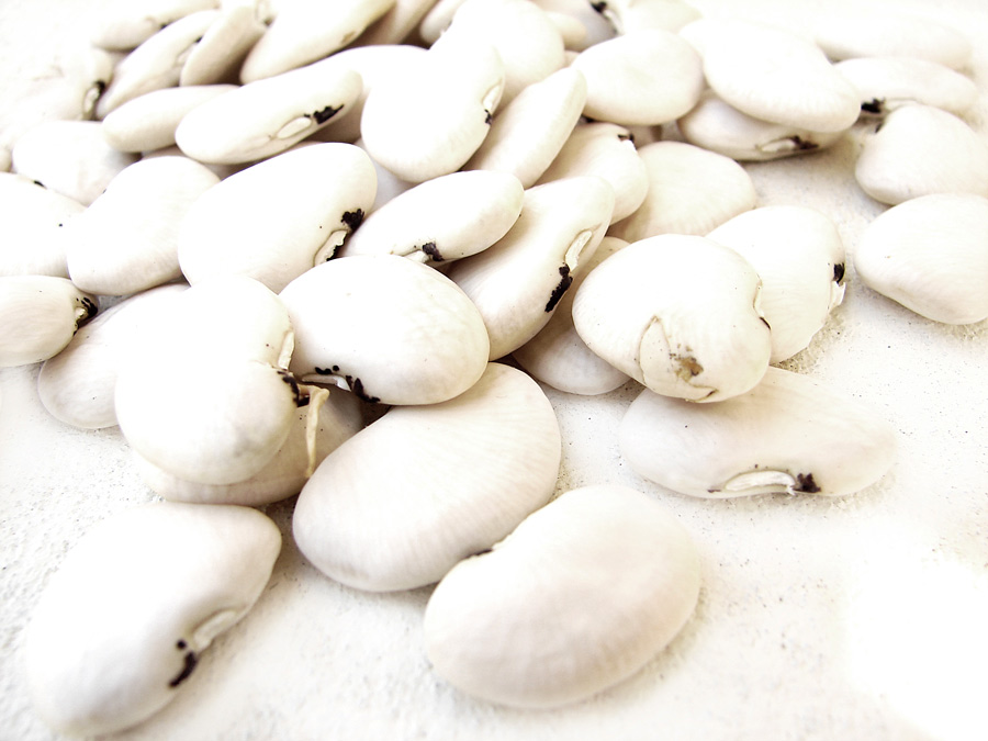 Photography by bigevil600 for DesignCrowd (Community Contests) | Design #8994000