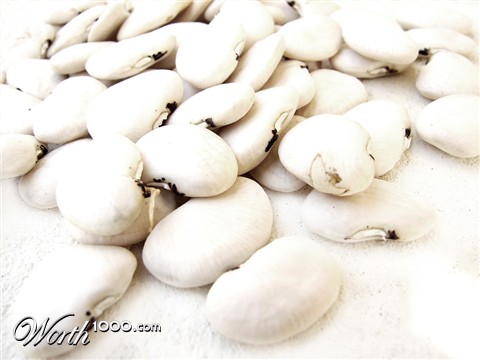 Photography by bigevil600