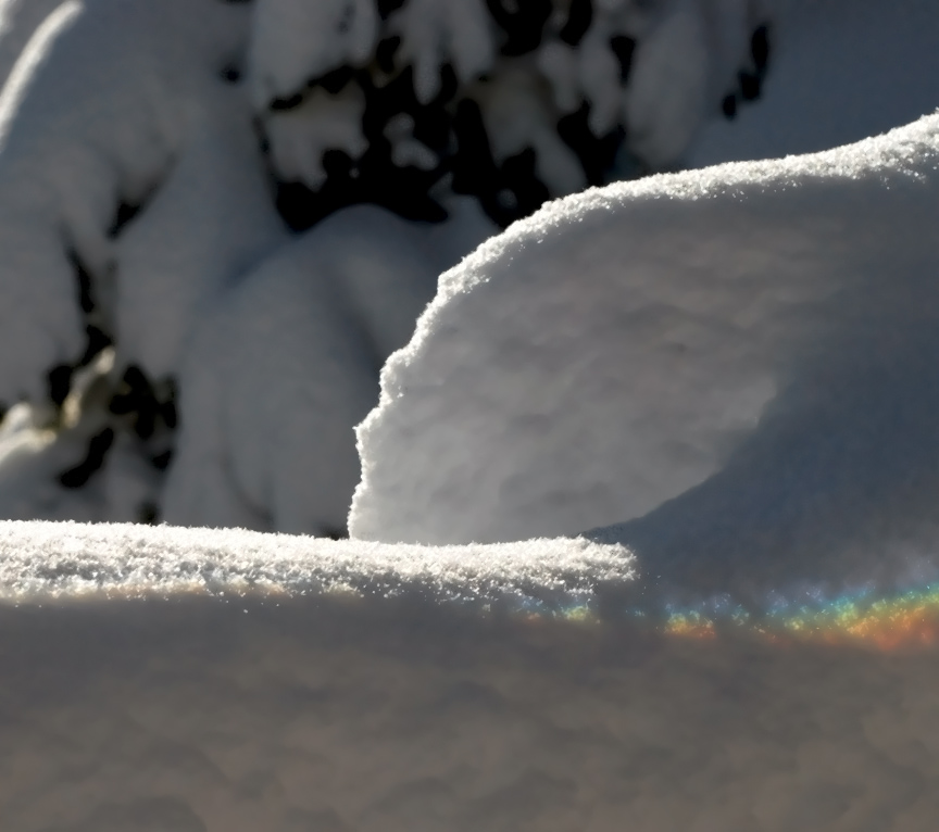 Photography by ClickChick for DesignCrowd (Community Contests) | Design #8994014