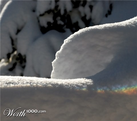 Photography by ClickChick