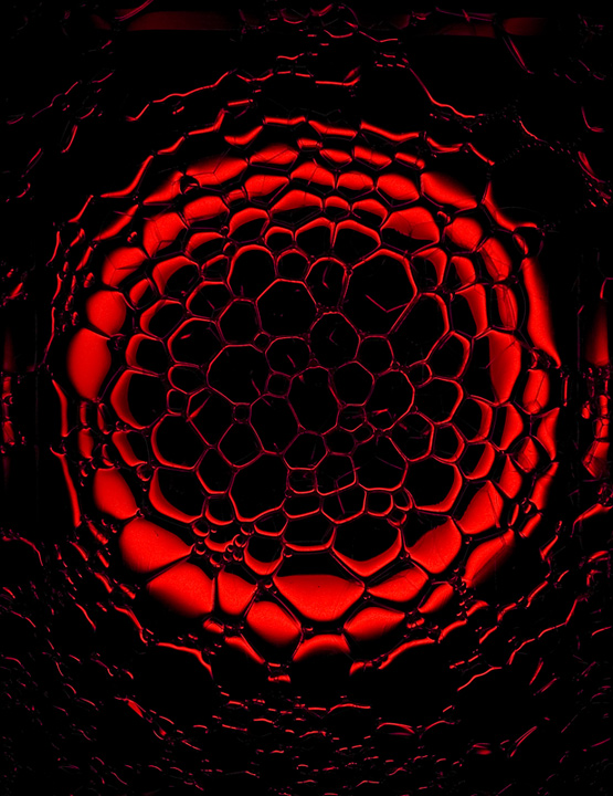 Fotografie von frankacaba für DesignCrowd (Community Contests) | Design #8994557