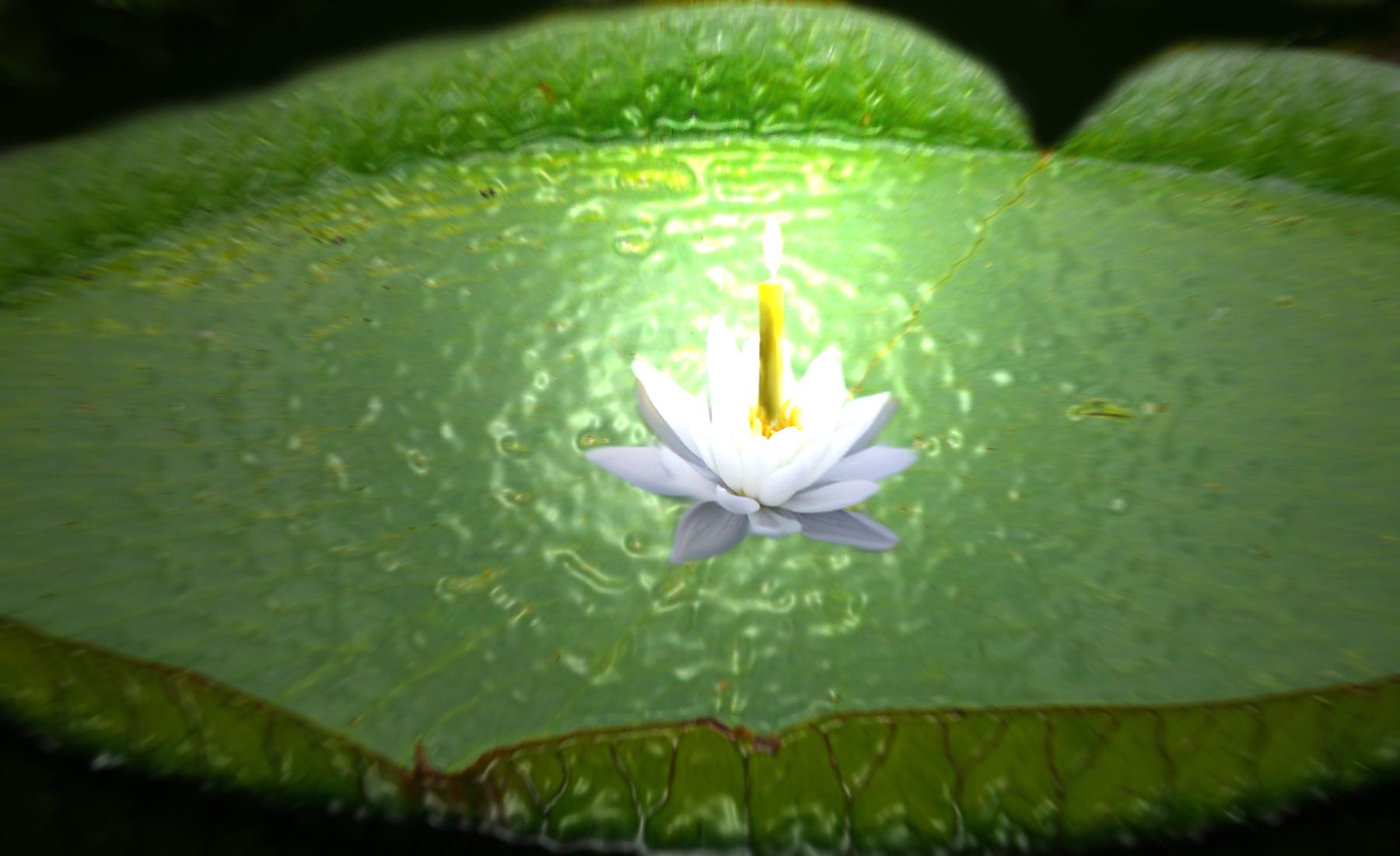 Photoshop Design by chicken279 for DesignCrowd (Community Contests) | Design #8992013