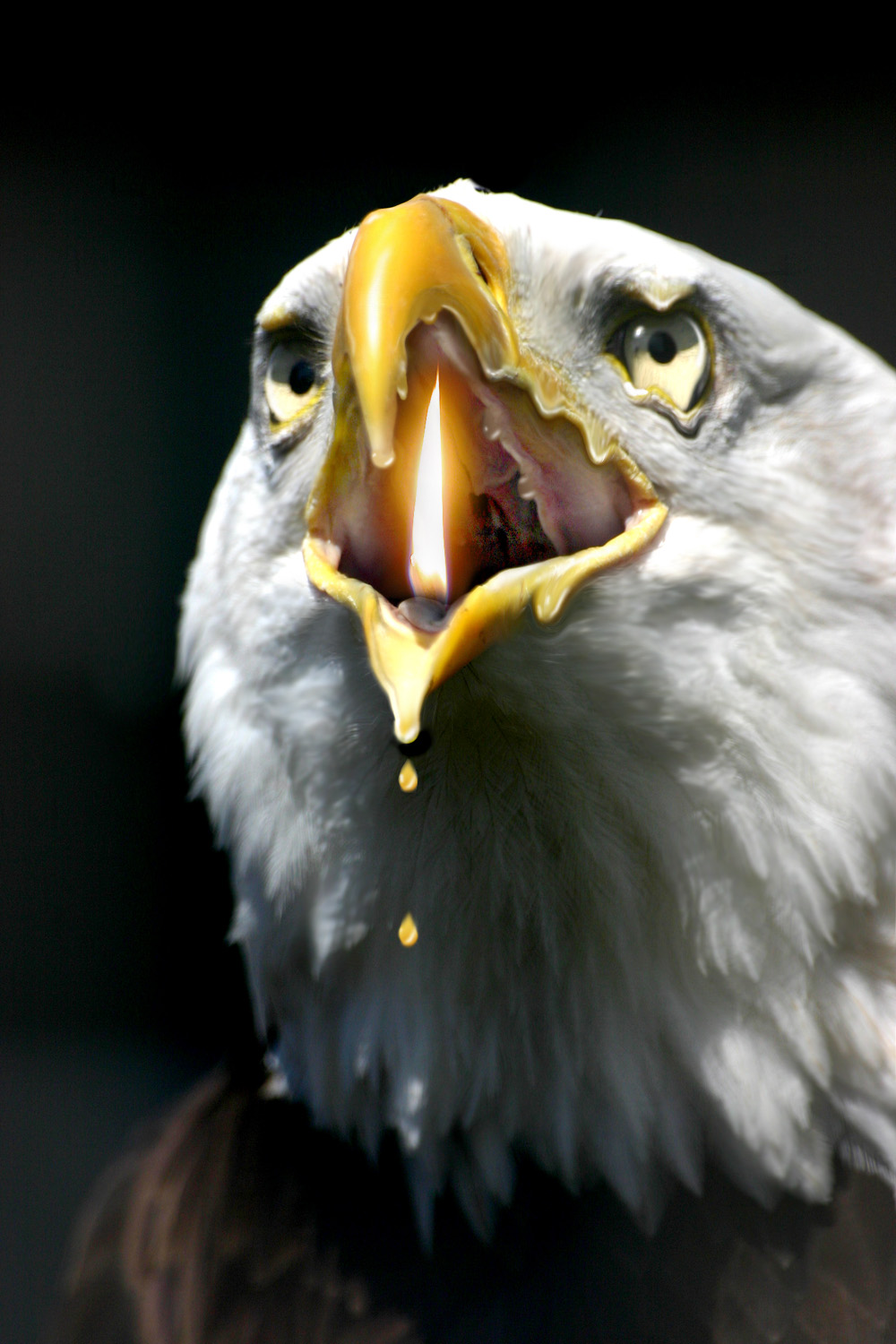 Photoshop-Design von Tinkuuu für DesignCrowd (Community Contests) | Design #8992011