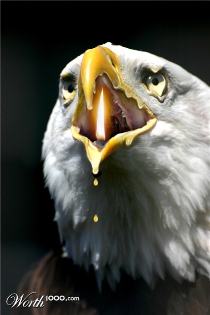 Photoshop Design by Tinkuuu