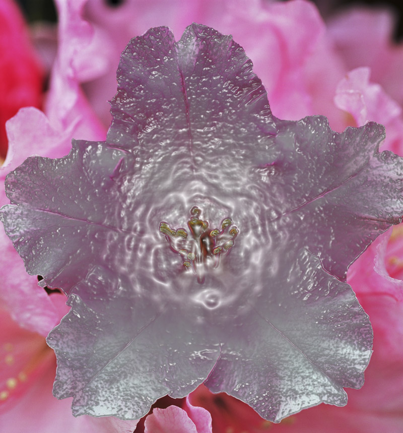 Photoshop Design by horngregory for DesignCrowd (Community Contests) | Design #8992033