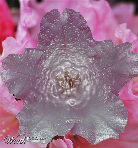 Photoshop Design by horngregory