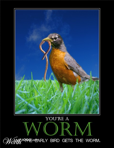 Photoshop Design by jlboucher