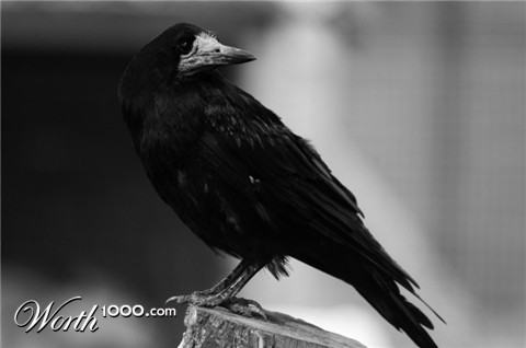 Photography by AlastairI