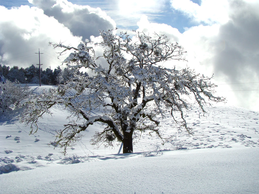 Photography by SallySmyth for DesignCrowd (Community Contests) | Design #8994077