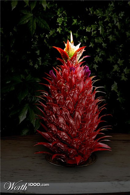 Photoshop Design by MissGator