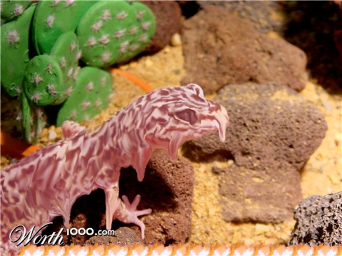 Photoshop Design by hystriculus