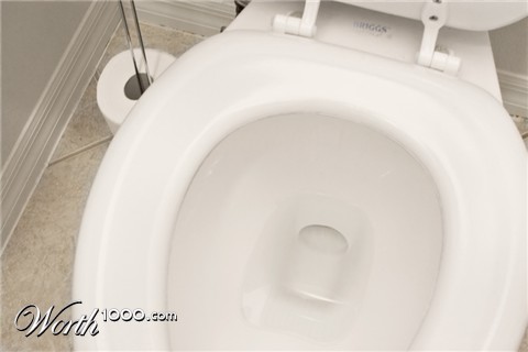 Photography by pinkfly