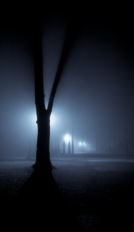 Photography by photomac54 for DesignCrowd (Community Contests) | Design #8985671