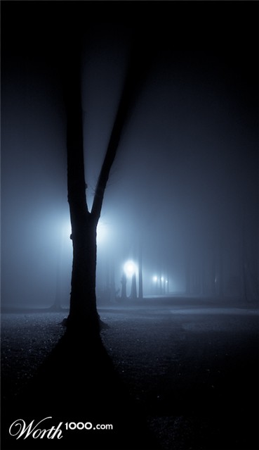 Photography by photomac54