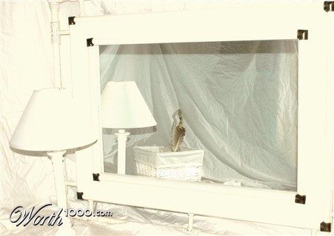 Photography by chrcha26