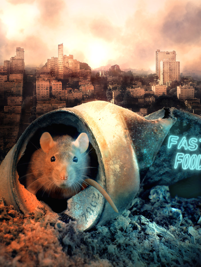 Design Photoshop par zenmouse pour DesignCrowd (Community Contests) | Design #8993924