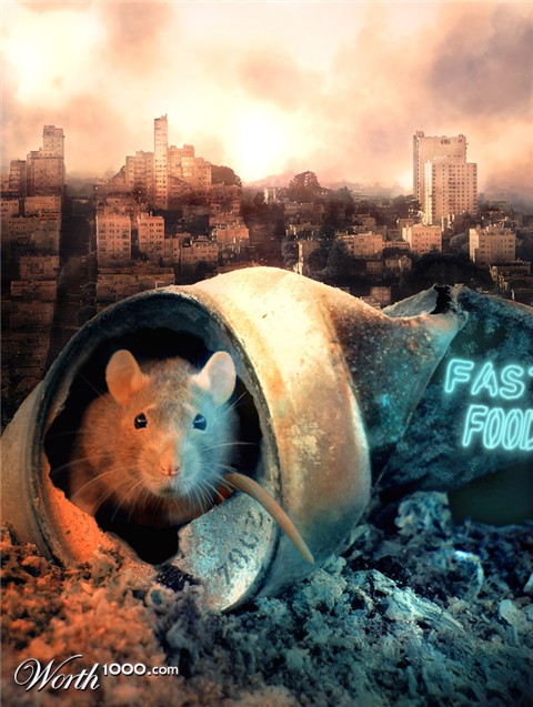 Photoshop Design by zenmouse