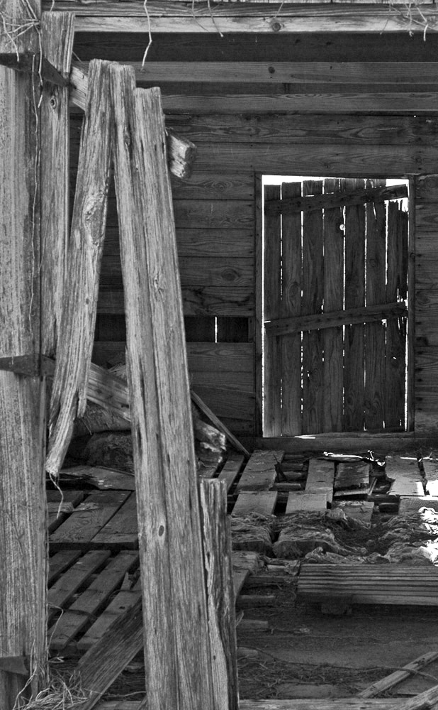 Photography by Lmorrow57 for DesignCrowd (Community Contests) | Design #8985681