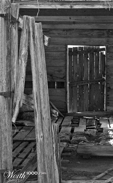 Photography by Lmorrow57