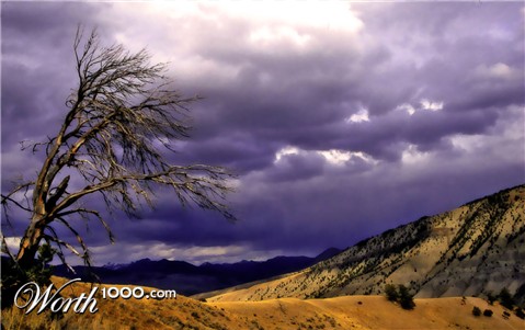 Photoshop Design by trevo33