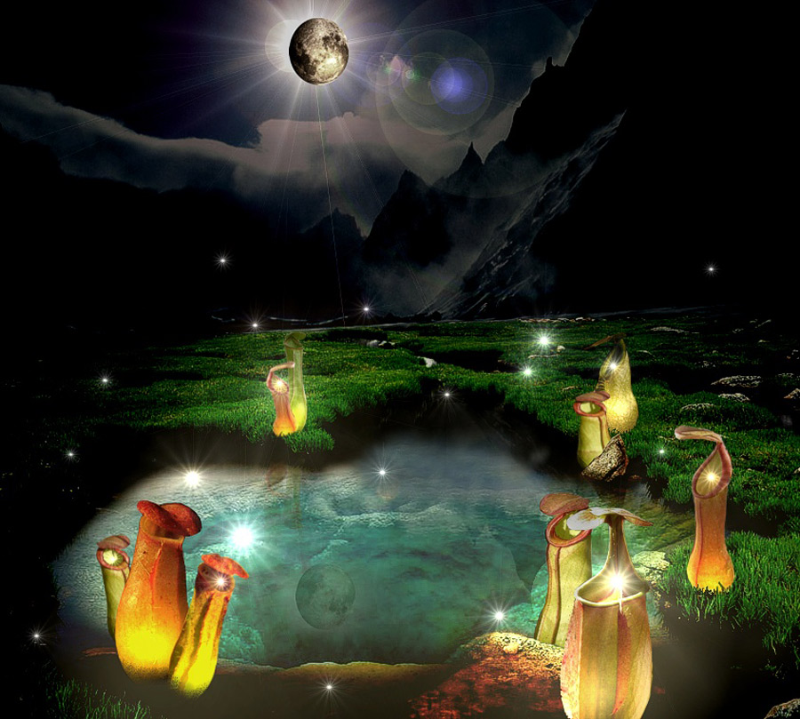 Photoshop Design by MissGator for DesignCrowd (Community Contests) | Design #8993912