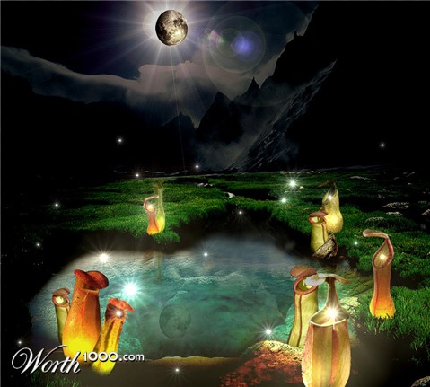 Photoshop Design by MissGator