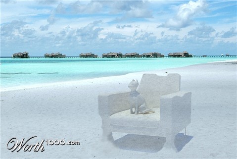 Photoshop Design by tumbleweedwatcher