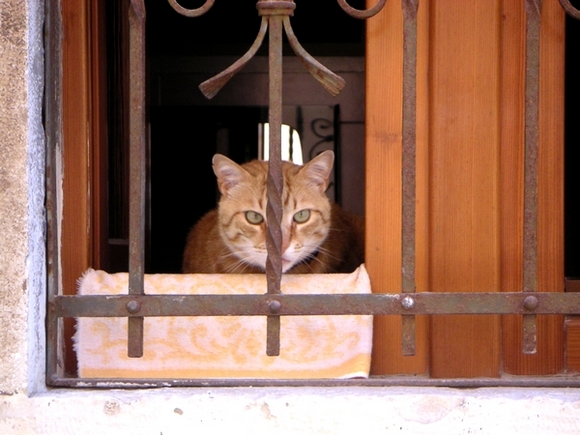 Photography by elbebeach for DesignCrowd (Community Contests) | Design #8990209