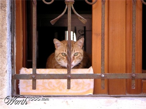 Photography by elbebeach