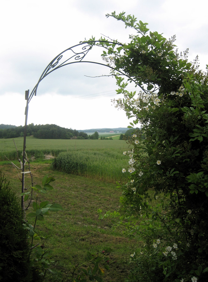 Photography by SallySmyth for DesignCrowd (Community Contests) | Design #8990232