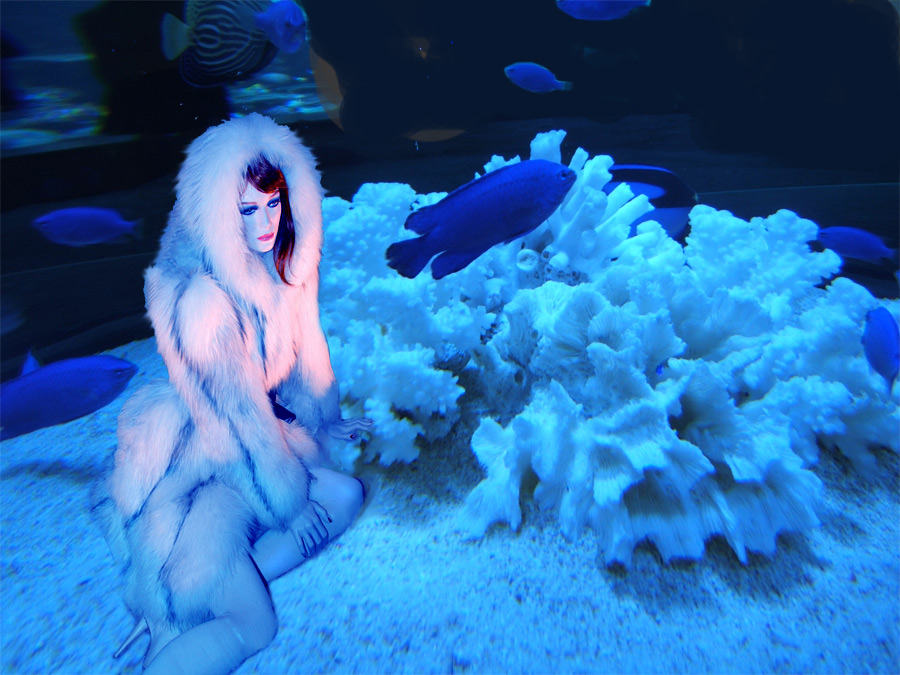 Design Photoshop par kwize53 pour DesignCrowd (Community Contests) | Design #8986818