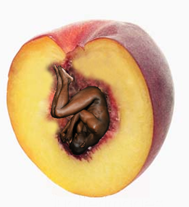 Photoshop Design by PeterAAAWelch for DesignCrowd (Community Contests) | Design #8987165