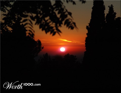 Photography by toscio