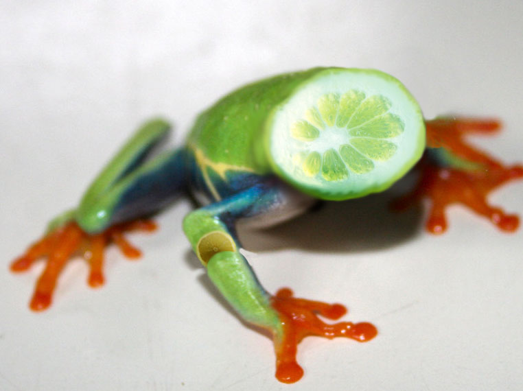 Design Photoshop par AliiXX pour DesignCrowd (Community Contests) | Design #8987166