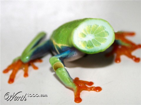 Photoshop Design by AliiXX