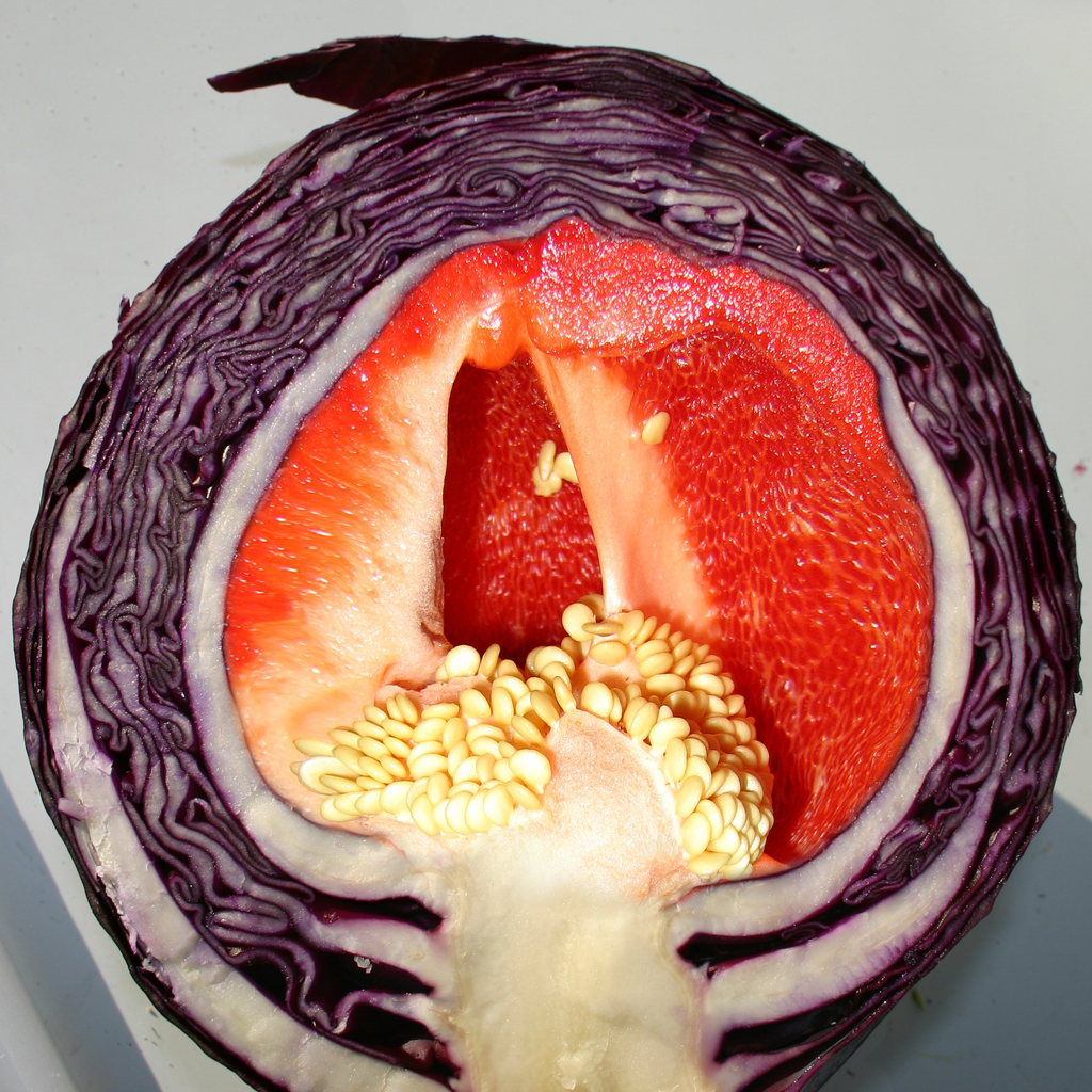 Photoshop Design by LookAndSee for DesignCrowd (Community Contests) | Design #8987170