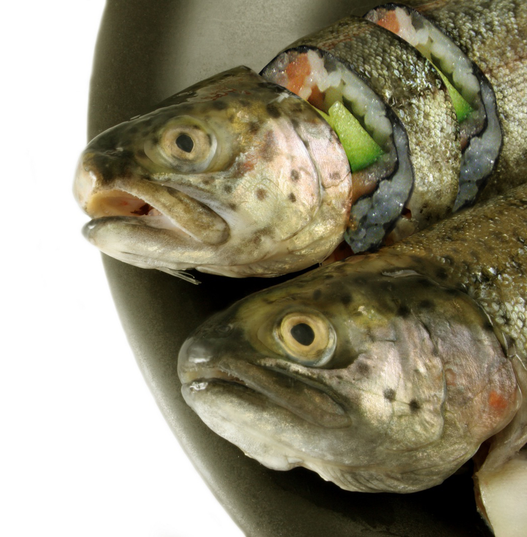 Photoshop Design by Anne Giguere for DesignCrowd (Community Contests) | Design #8987169