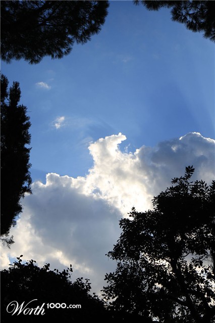 Photography by clapel