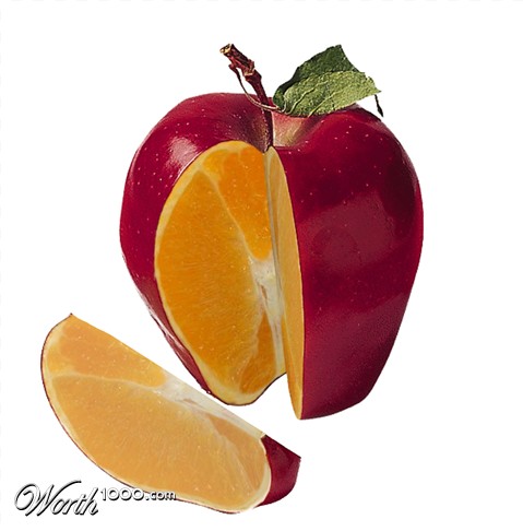 Photoshop Design by vinnyl