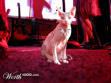 Photoshop Design by Jeelee