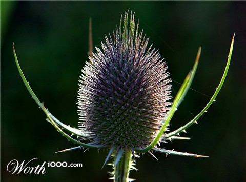 Photography by willhunt