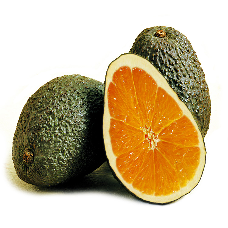 Design Photoshop par Anabole pour DesignCrowd (Community Contests) | Design #8987226