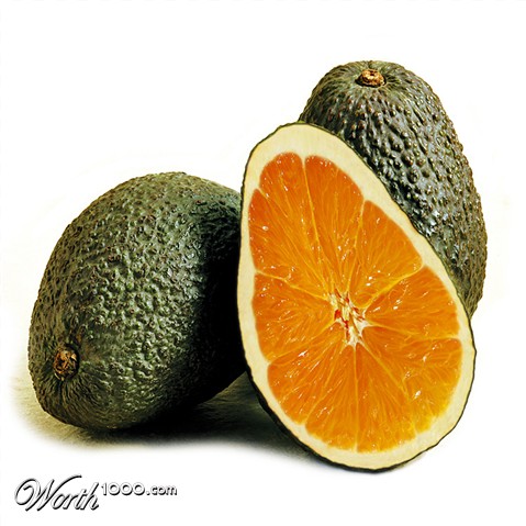 Photoshop Design by Anabole