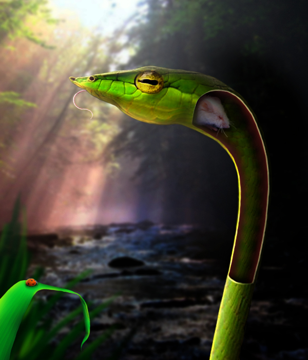 Photoshop-Design von Plebite für DesignCrowd (Community Contests) | Design #8987240