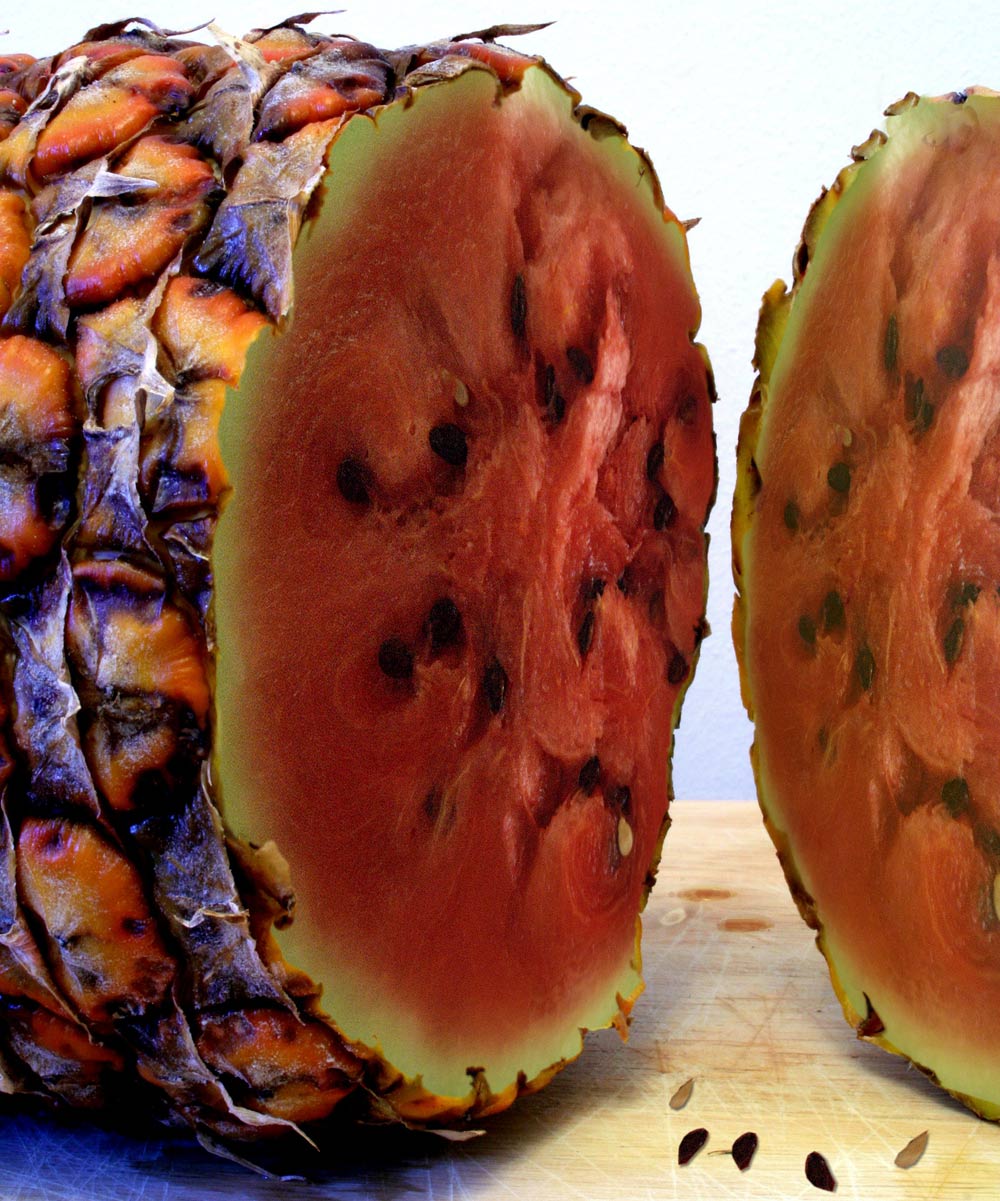 Photoshop-Design von Lsgenie für DesignCrowd (Community Contests) | Design #8987244