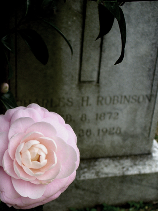 Photography by BrimstoneCowboy for DesignCrowd (Community Contests) | Design #8995983