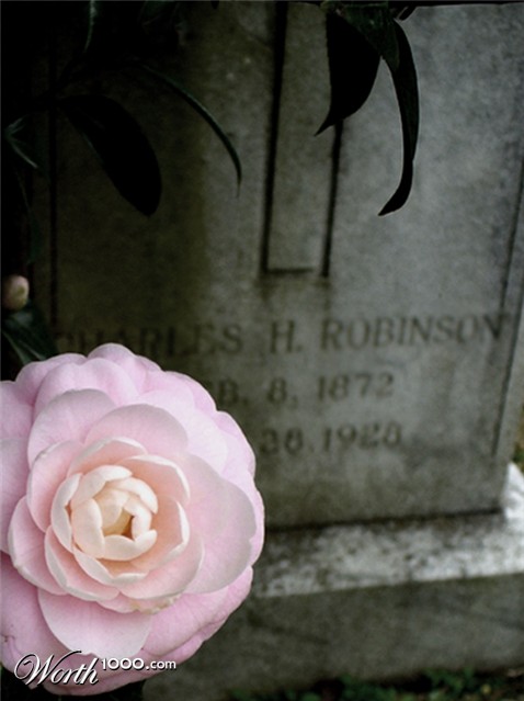 Photography by BrimstoneCowboy