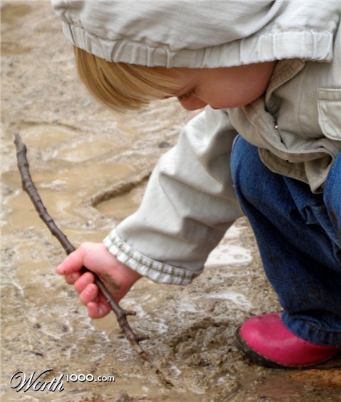 Photography by copierguy43215