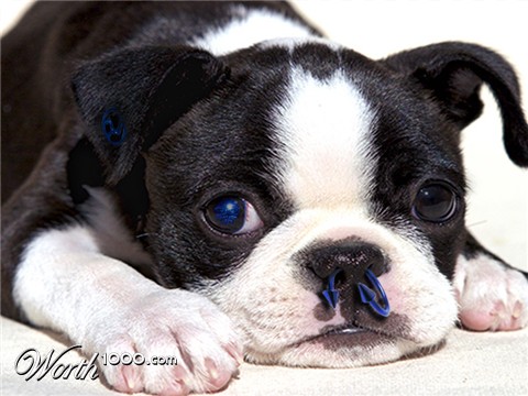 Photoshop Design by SeitNZounde