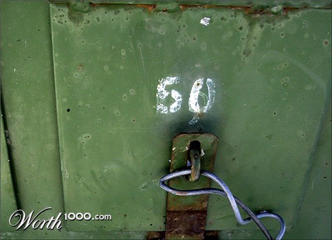 Photography by amnell24